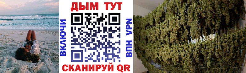 Шишки марихуана Bruce Banner  мега ТОР  Мураши 